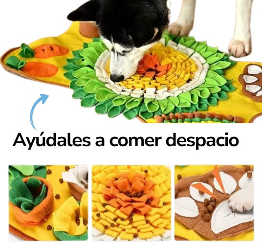 Alfombra olfativa para mascotas