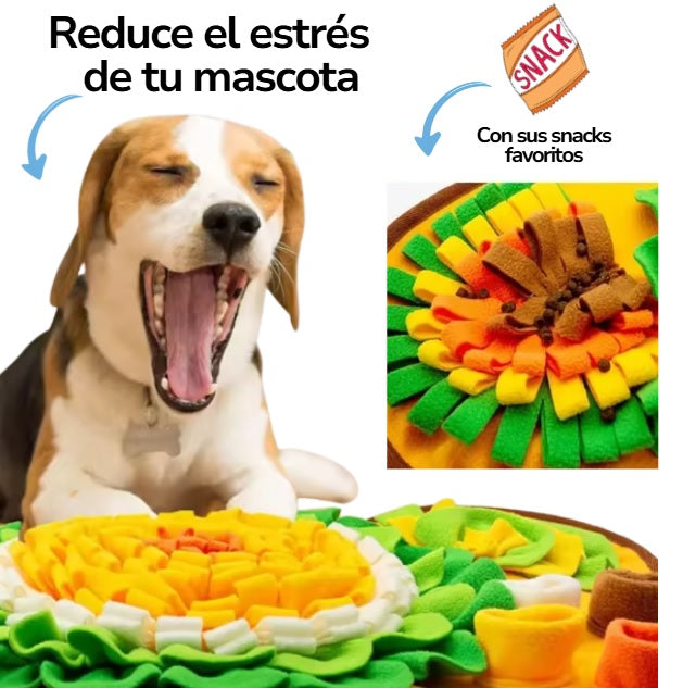 Alfombra olfativa para mascotas