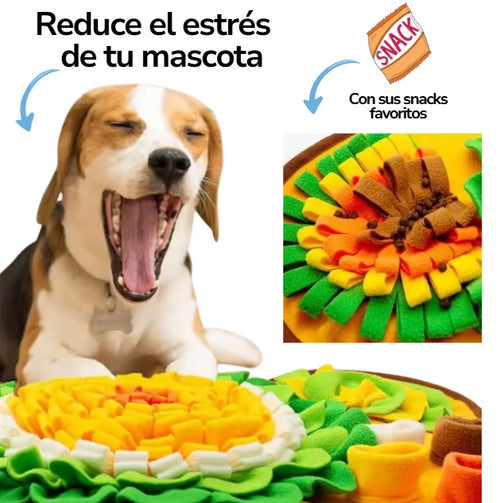 Alfombra olfativa para mascotas